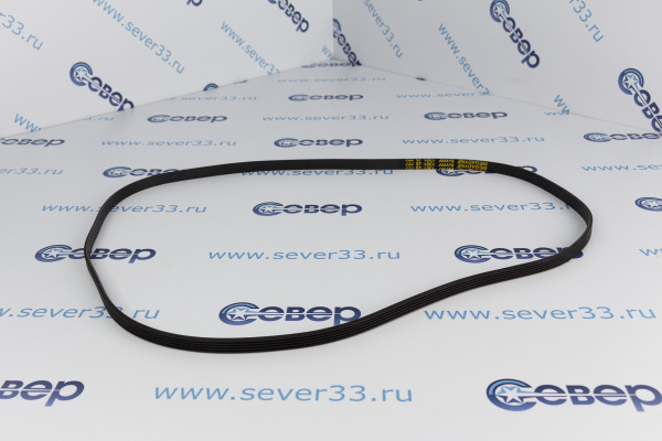 Ремень 1301J5PUR (AV09112) 11100076_1