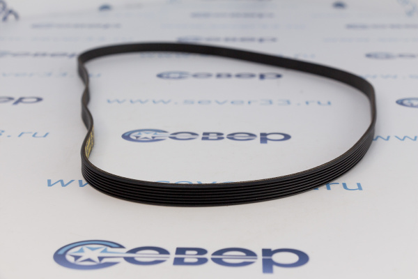 Ремень 1105Н7EL(116LG303)(C00057935)_1