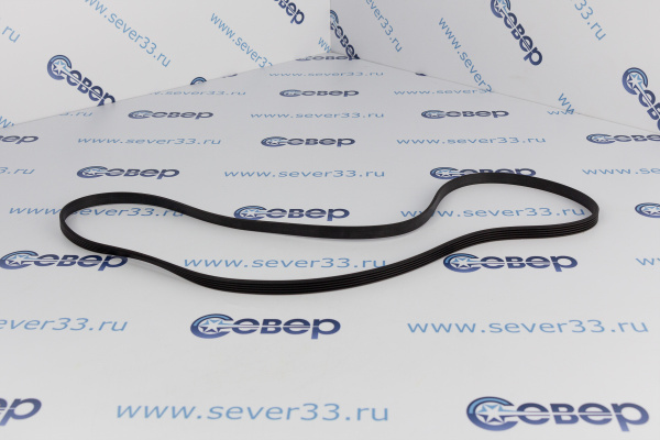 Ремень 1262 J5 MEGADYNE BLJ543UN_1