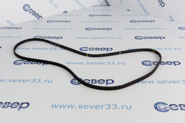 Ремень 1222J4PUR (AV0995) 11103801_1