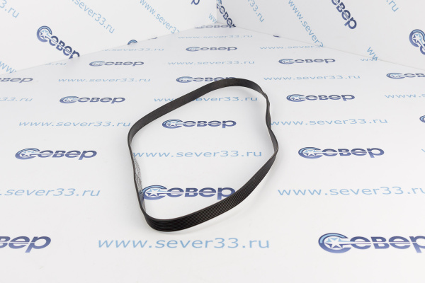 Ремень 1023Н9 EPH_1