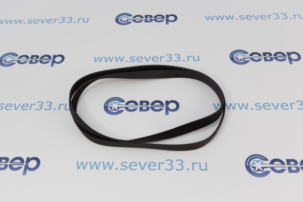 Ремень 1191 H8_2