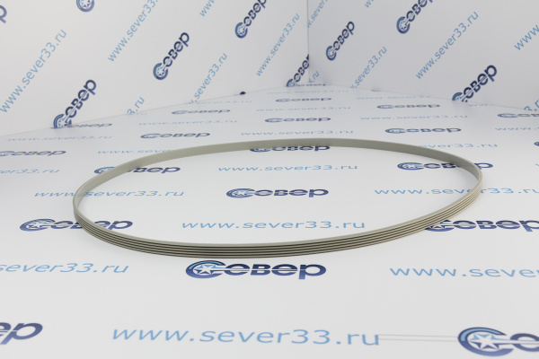 Ремень 1308 J5 EL белый_1