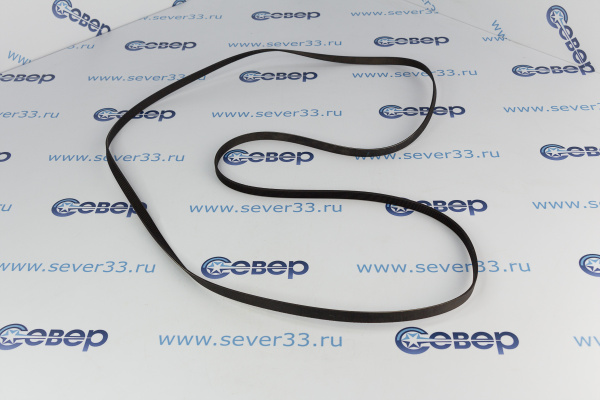 Ремень 1951Н7_1