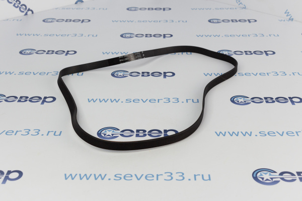 Ремень 1067H8 EL черный INDESIT 082995_1