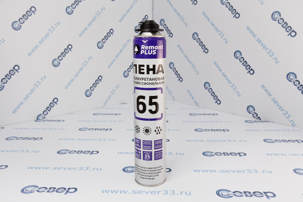 Пена монтажная REMONT PLUS 65  PRO всесезон. 745мл MASTERTEKS_1