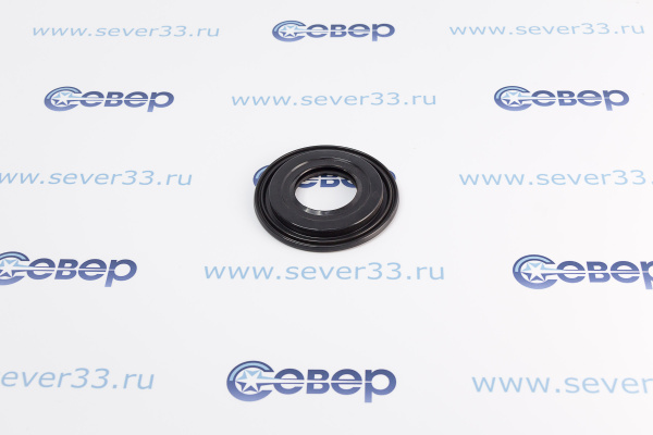 Сальник бака 48x68110x613 10702914_1