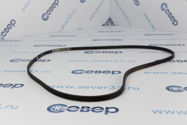 Ремень 1120 J4 PUR Electrolux 11102915_2