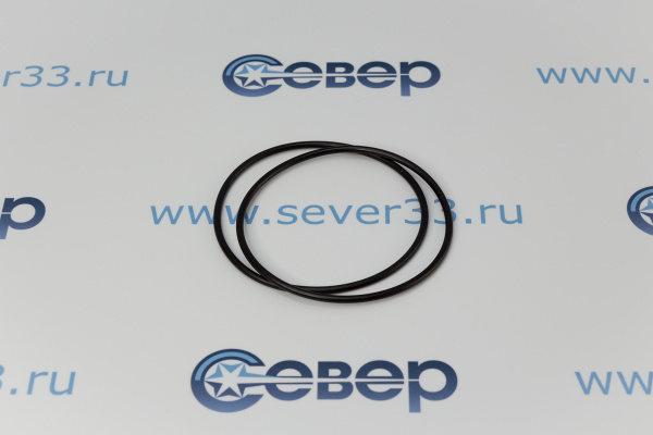 Набор уплотнительных колец для магистрального фильтра (2шт) "Гейзер" Aqua 10SL (90х3,5мм)