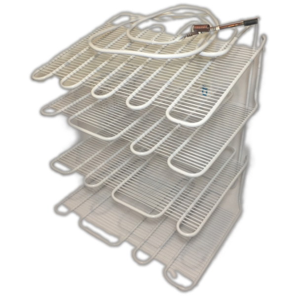 IMG_8937-25-01-18-09-17