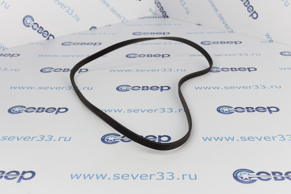 Ремень 1120J5 HUTCHINSON (черный) BLJ114UN_1