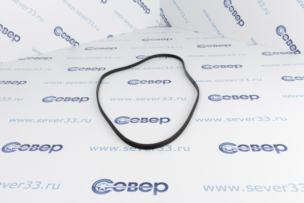 Ремень 1123 J4_1