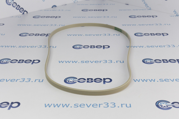 Ремень 1161 J5 PUR 11100400_1