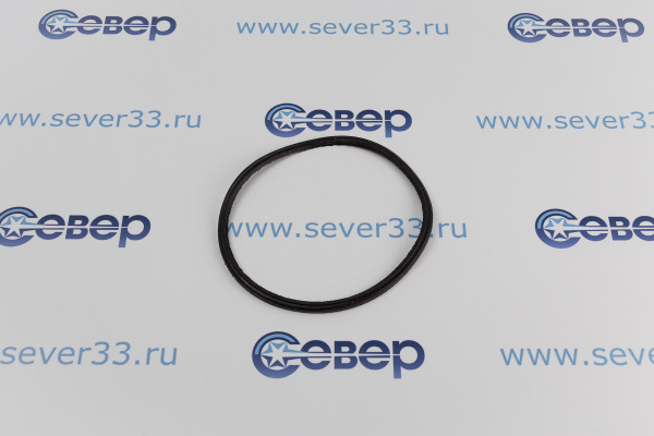 Уплотнительная резина (прокладка) бункера Indesit C00054828_1