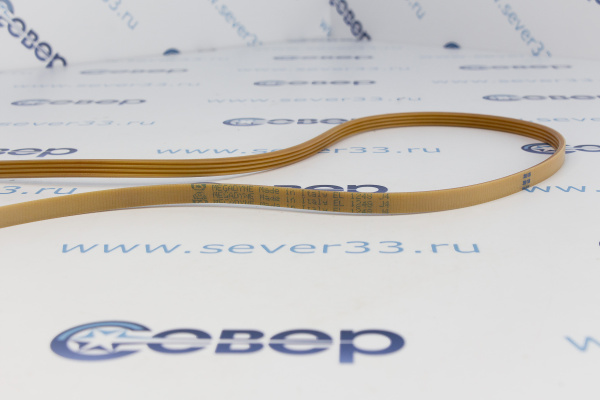 Ремень 1248J4EL Ariston (AV0965) 11102202_1