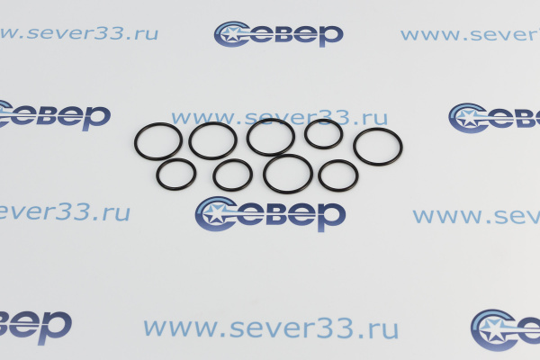 Уплотнительный набор прокладок для смотрового стелка, регуляторов уровня и датчиков уровня_3