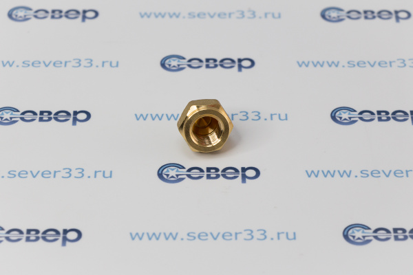 Гайка-заглушка(внутр.резьба) 1_4 N5-04_1