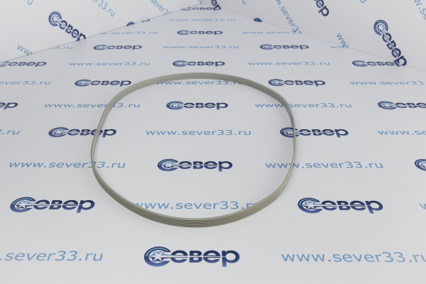  &&& 20230609/R/Ремень 1287H8EL_1.jpg&&&