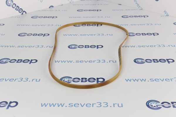 Ремень 1183J4 EL 11102226 белый_1