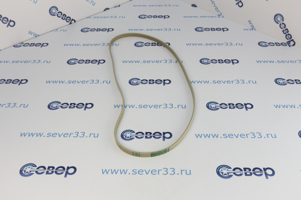 Ремень 1250J5 EL (белый)_2