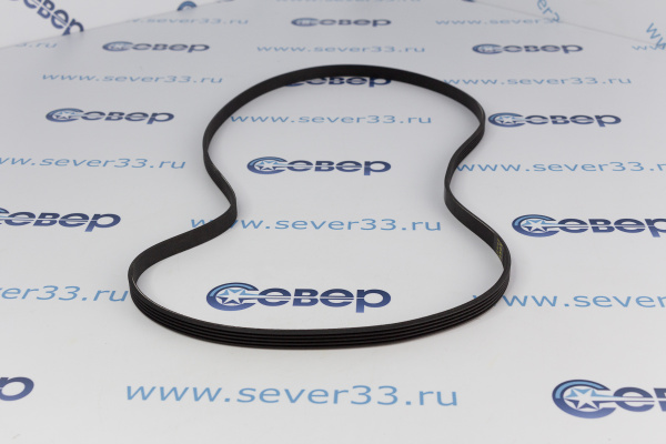 Ремень 1184 J5_1