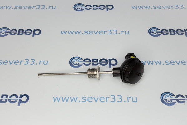  &&& 20220919/M/Датчик температуры ТСП Pt100_1.jpg&&&